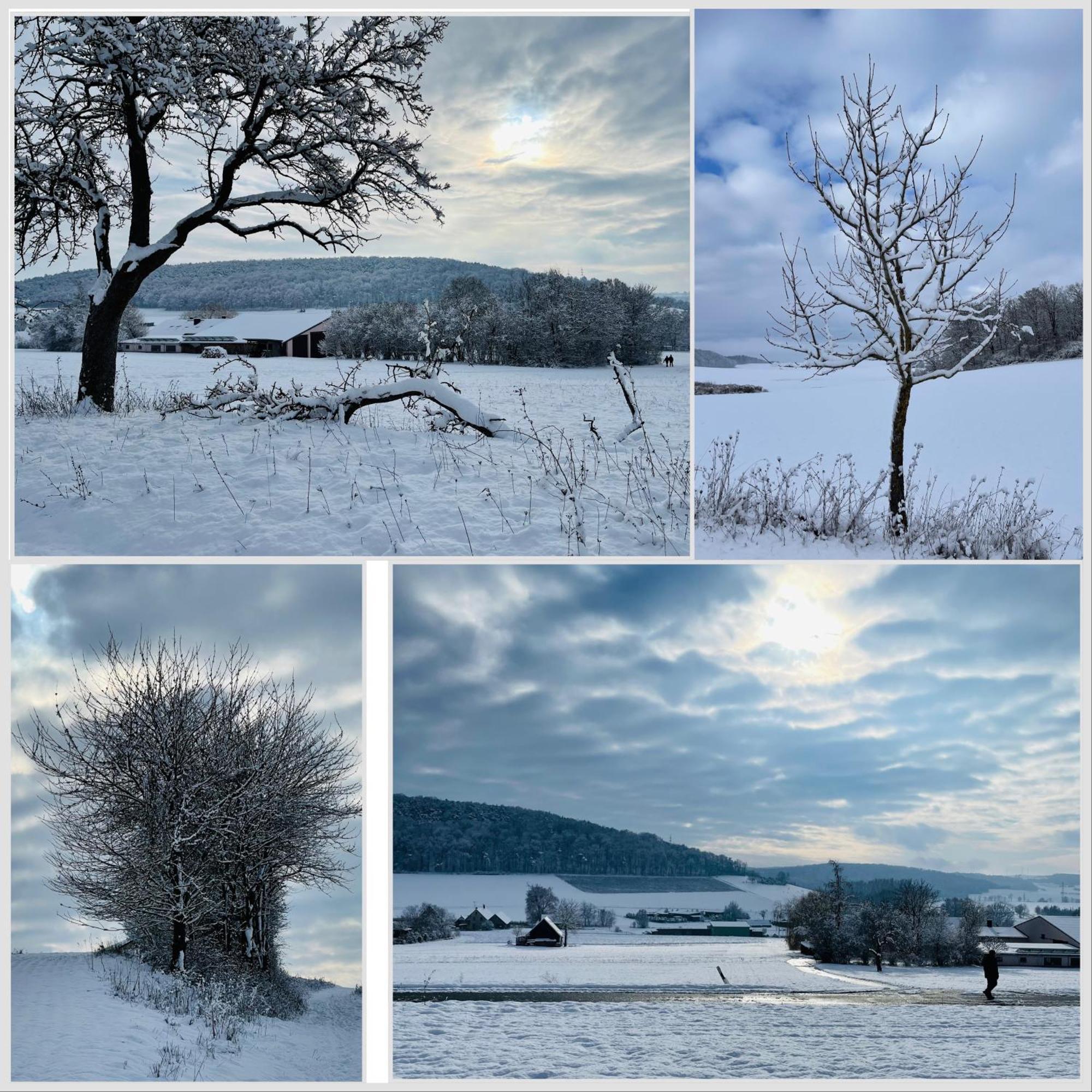 Fewo Uettingen Mitte ภายนอก รูปภาพ